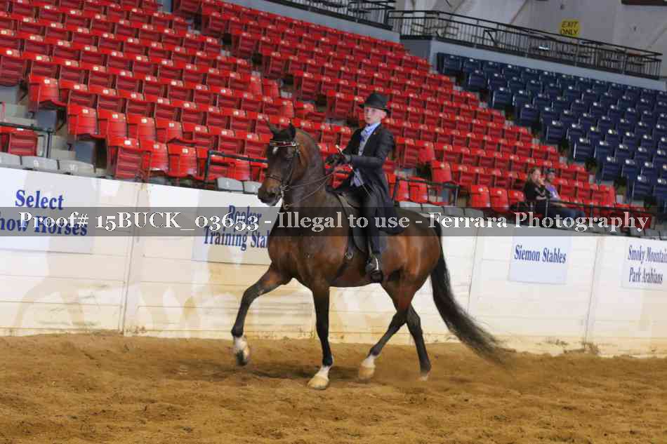Proof Number 15BUCK_03653