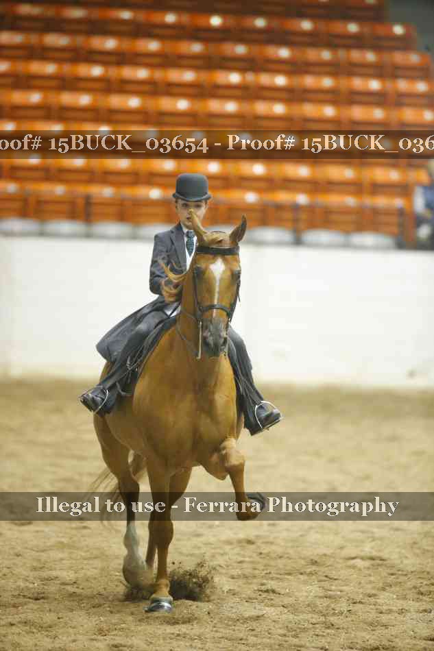 Proof Number 15BUCK_03654