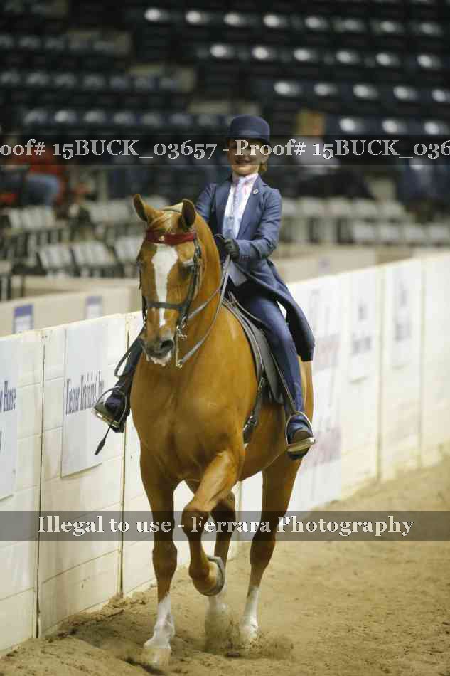 Proof Number 15BUCK_03657