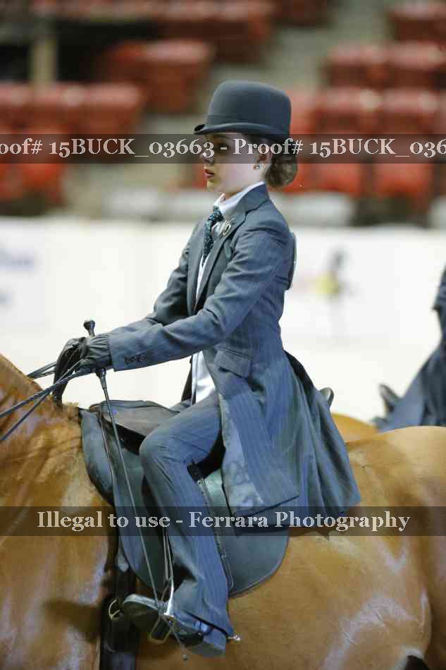 Proof Number 15BUCK_03663
