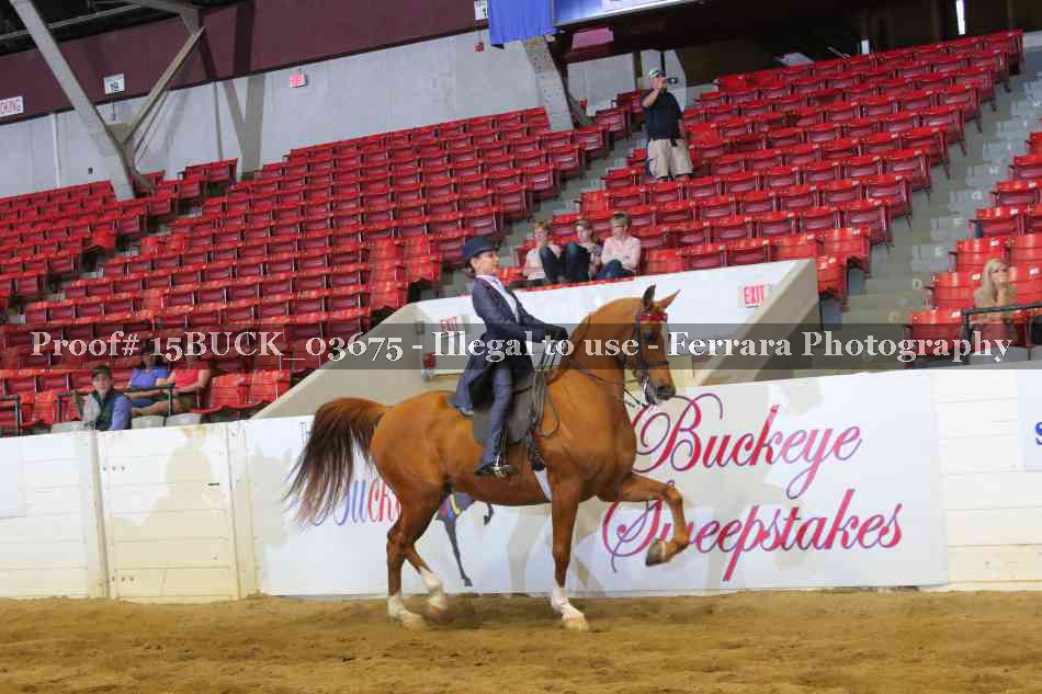 Proof Number 15BUCK_03675
