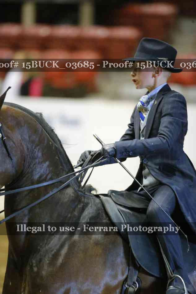 Proof Number 15BUCK_03685