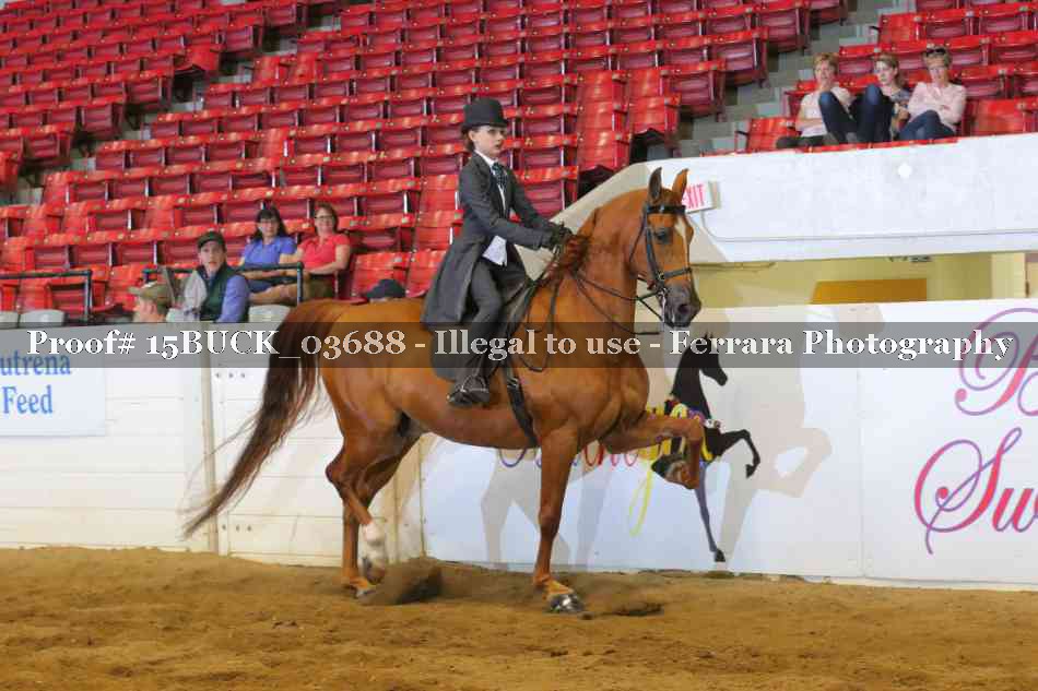 Proof Number 15BUCK_03688
