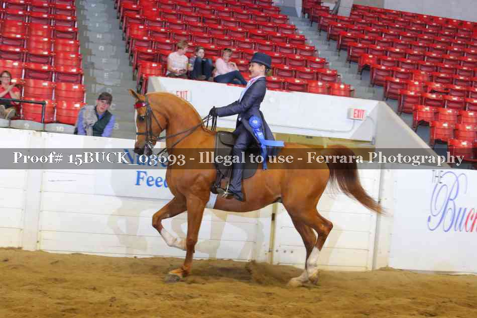 Proof Number 15BUCK_03693