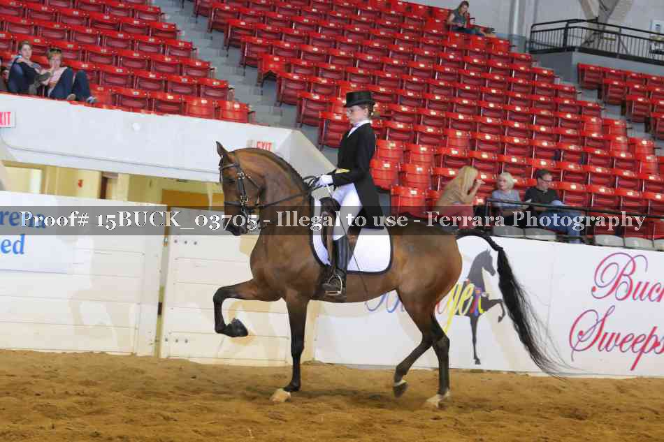Proof Number 15BUCK_03705