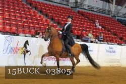 15BUCK_03805 thumbnail