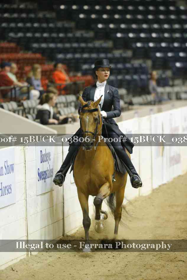 Proof Number 15BUCK_03806