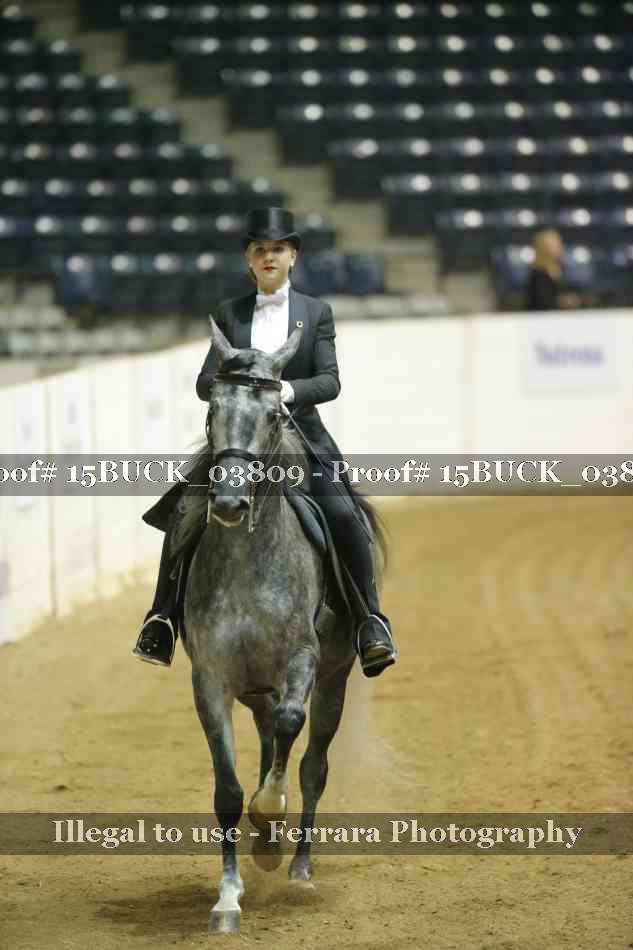 Proof Number 15BUCK_03809