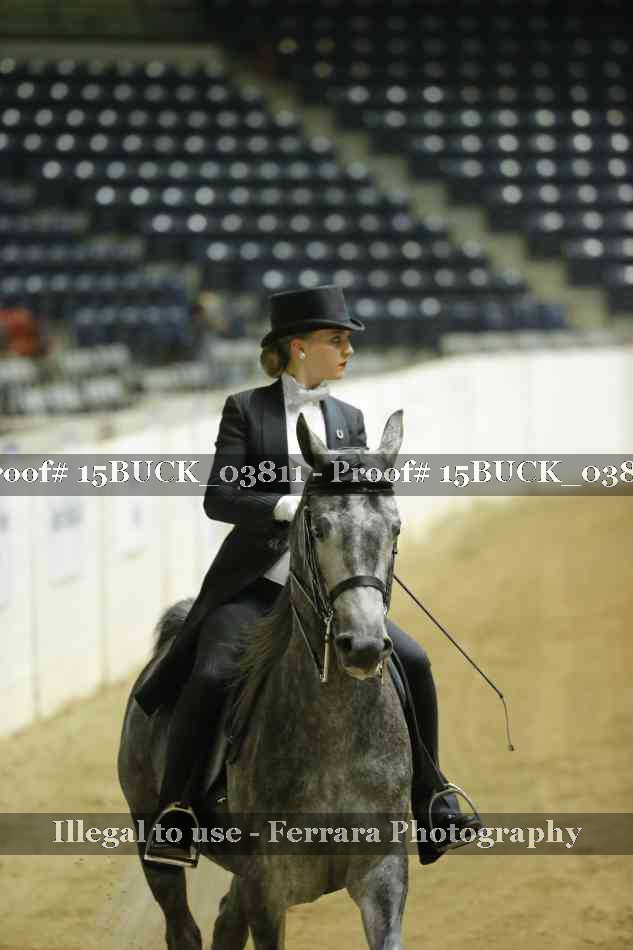 Proof Number 15BUCK_03811