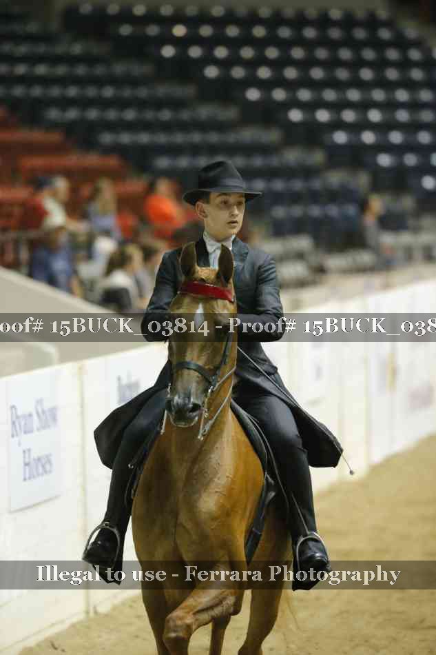 Proof Number 15BUCK_03814