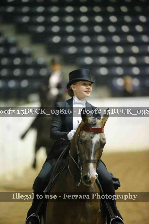 Proof Number 15BUCK_03816
