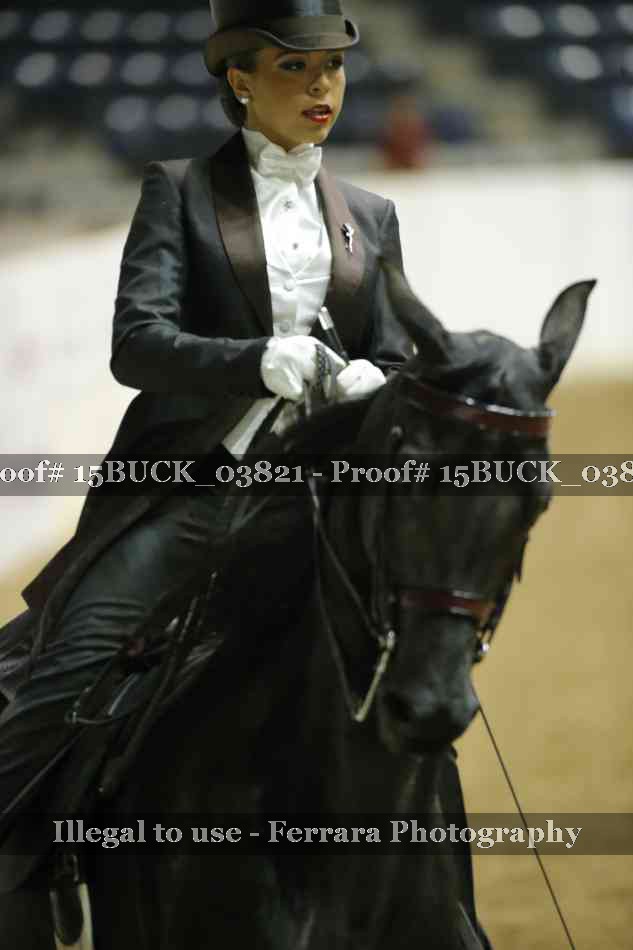 Proof Number 15BUCK_03821