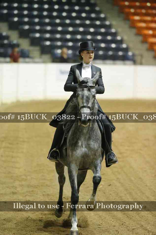 Proof Number 15BUCK_03822