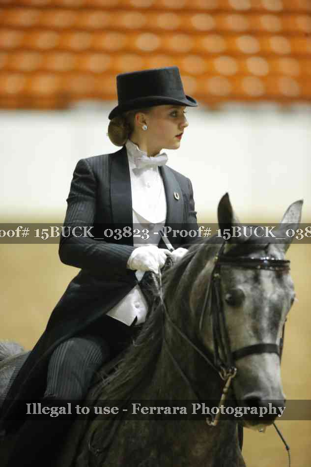 Proof Number 15BUCK_03823