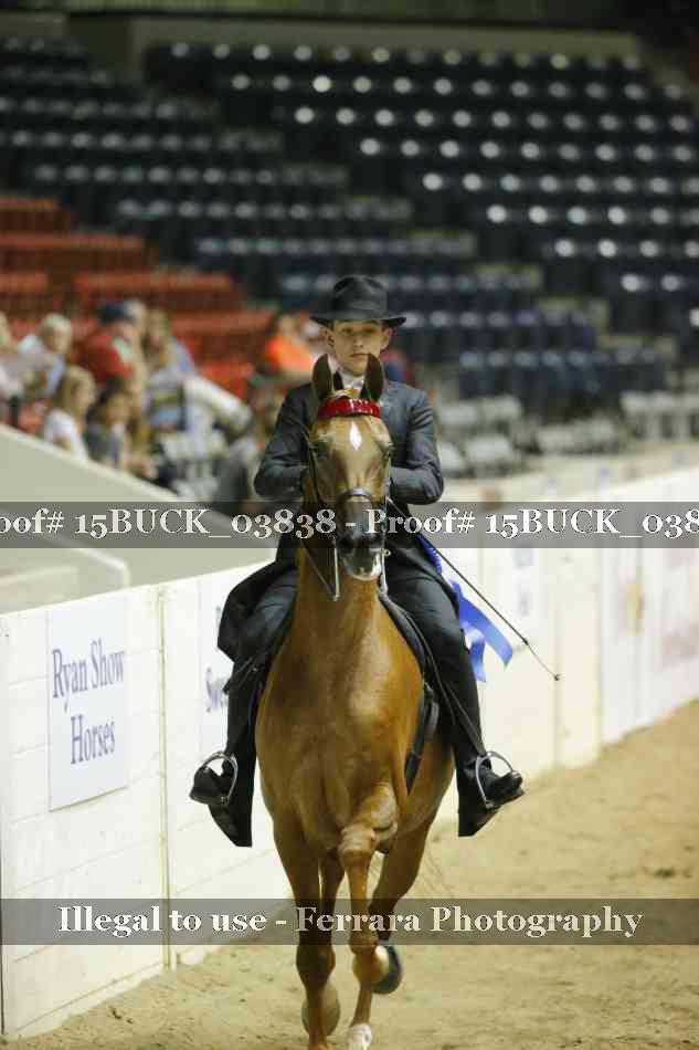 Proof Number 15BUCK_03838