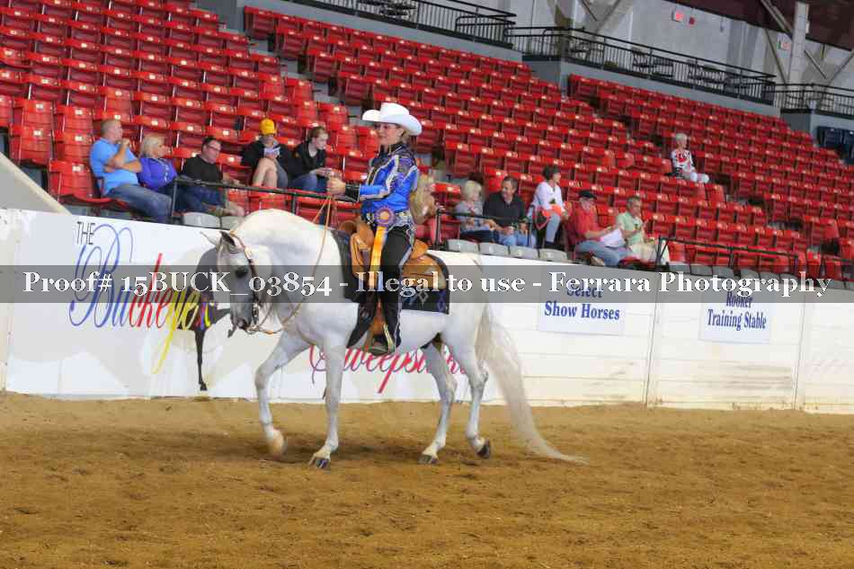 Proof Number 15BUCK_03854