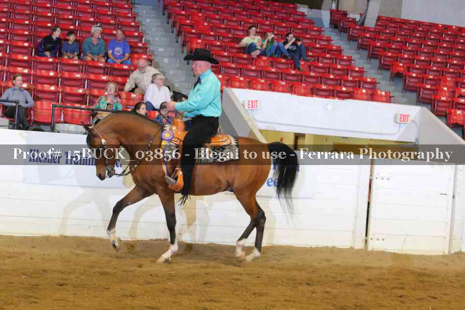 Proof Number 15BUCK_03856