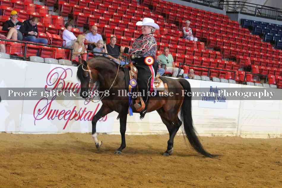 Proof Number 15BUCK_03878