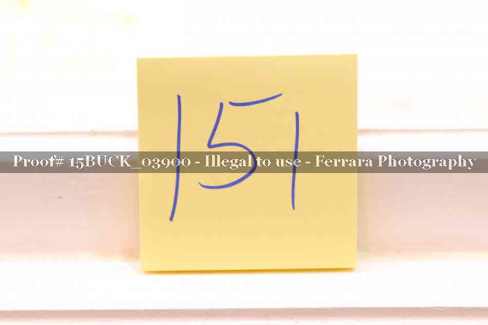 Proof Number 15BUCK_03900