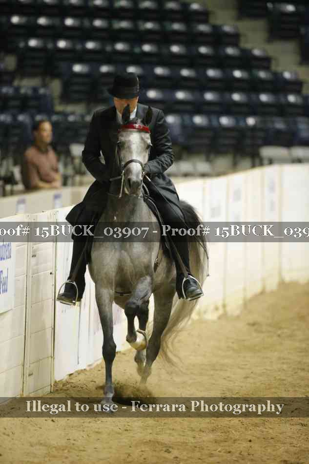 Proof Number 15BUCK_03907