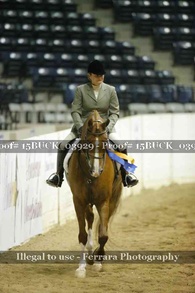 Proof Number 15BUCK_03929