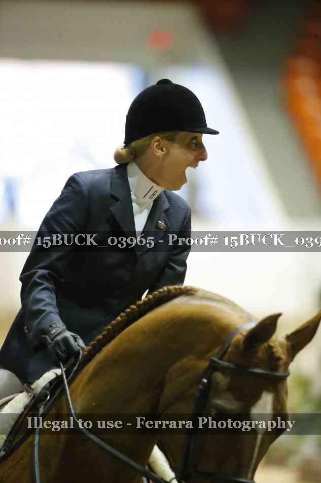 Proof Number 15BUCK_03965