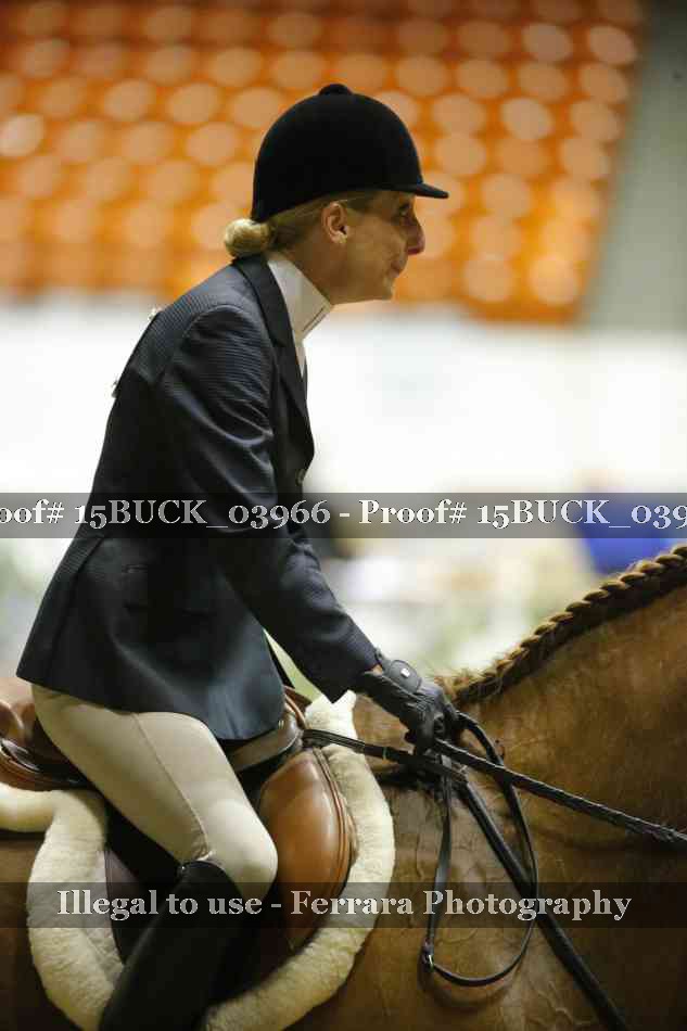 Proof Number 15BUCK_03966