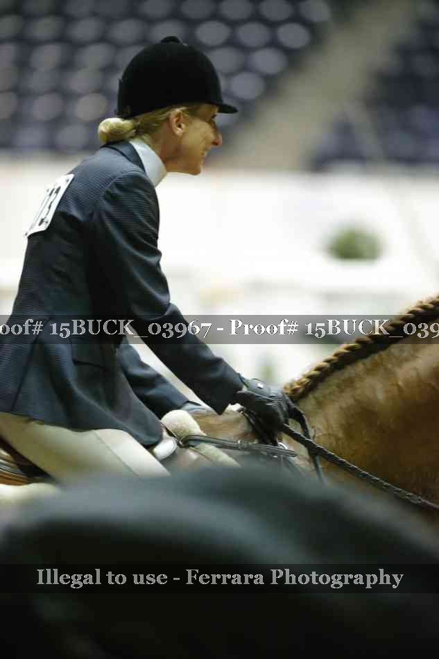 Proof Number 15BUCK_03967
