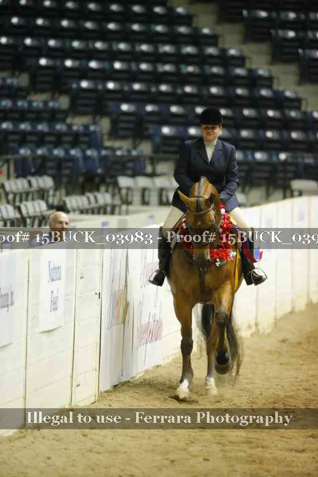 Proof Number 15BUCK_03983