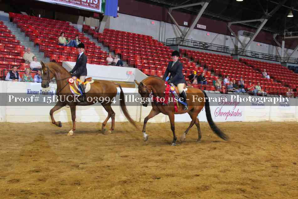 Proof Number 15BUCK_03994