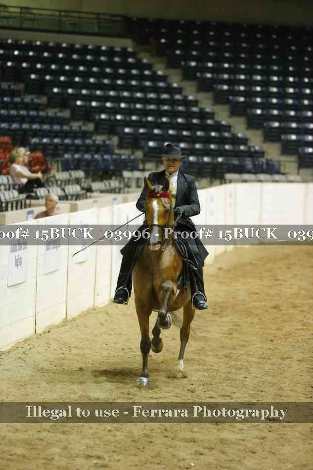 Proof Number 15BUCK_03996