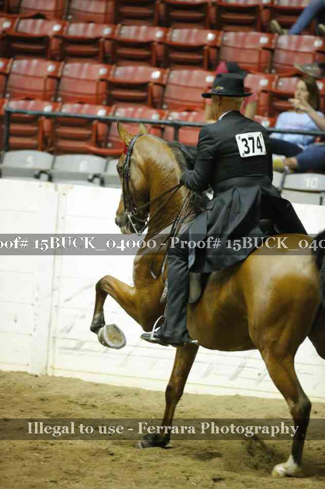 Proof Number 15BUCK_04000