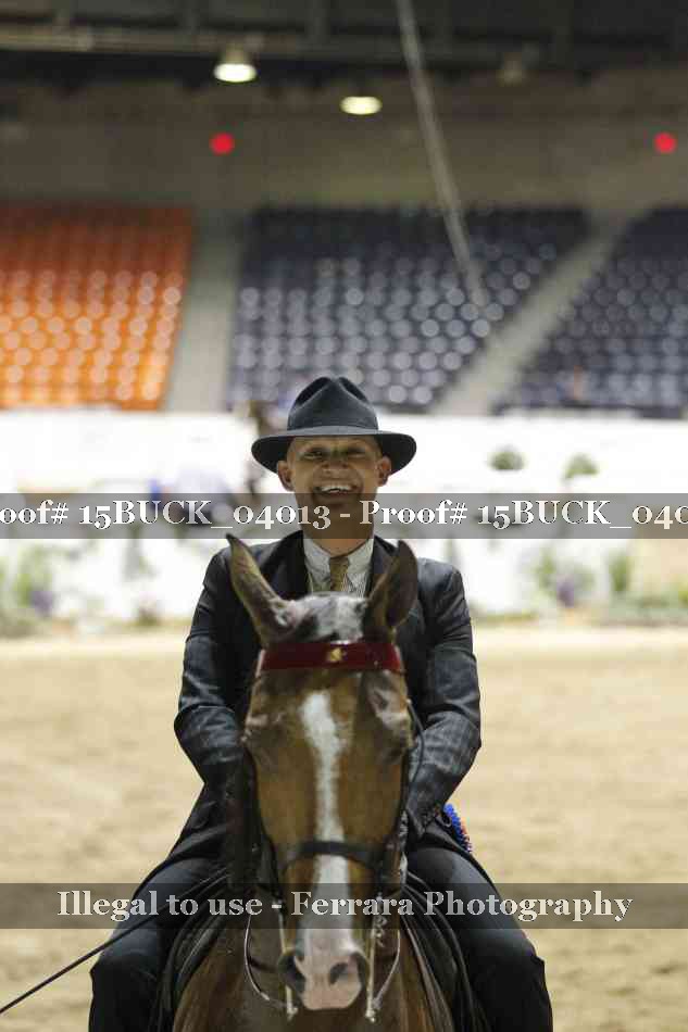 Proof Number 15BUCK_04013