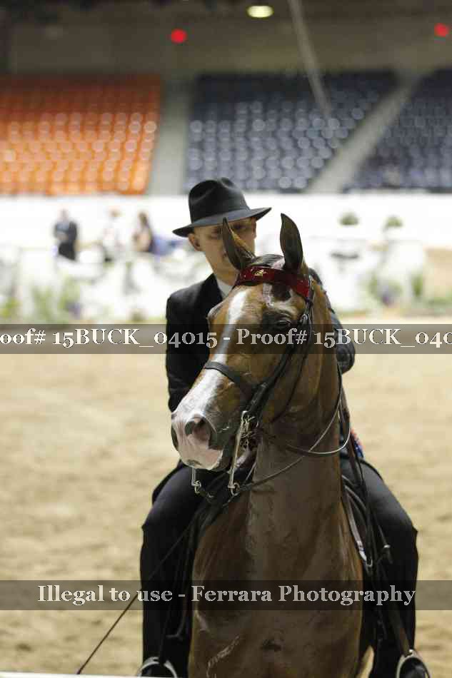 Proof Number 15BUCK_04015