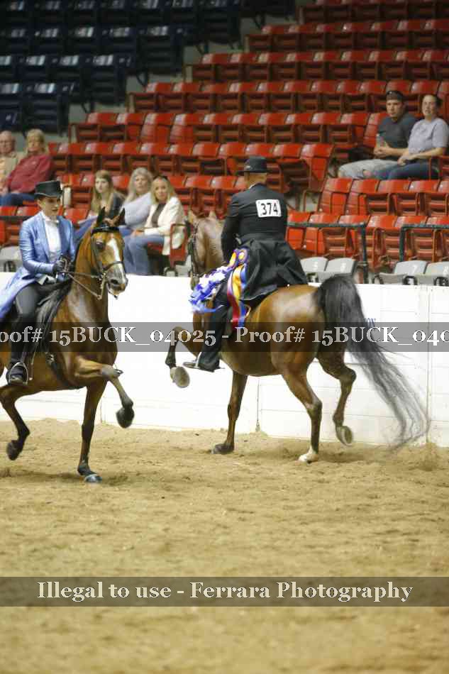 Proof Number 15BUCK_04025