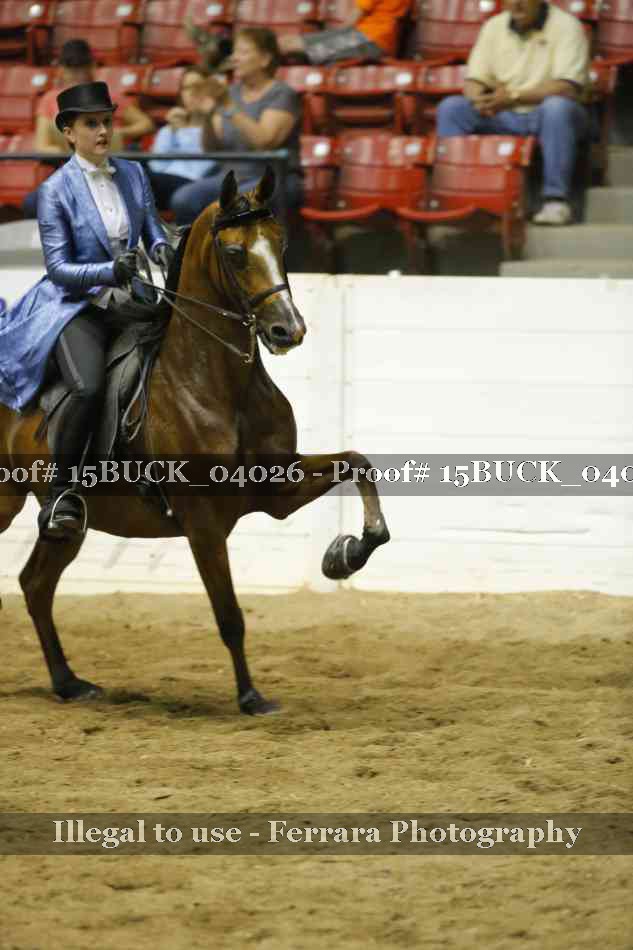 Proof Number 15BUCK_04026