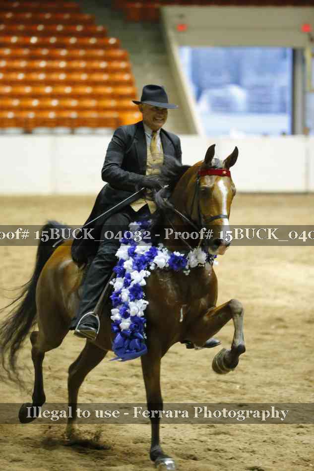 Proof Number 15BUCK_04032