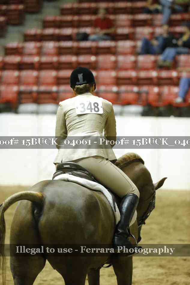 Proof Number 15BUCK_04061
