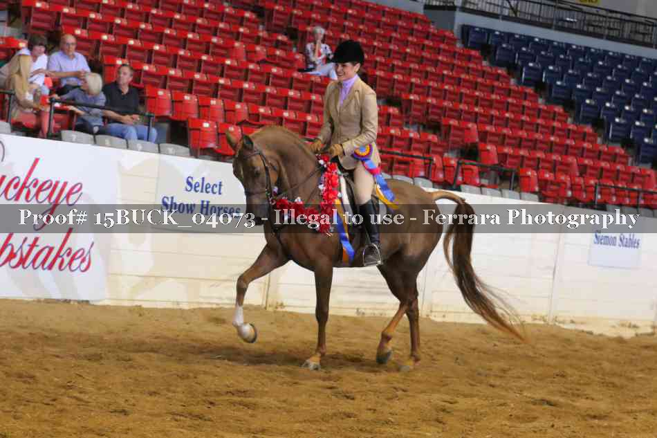 Proof Number 15BUCK_04073
