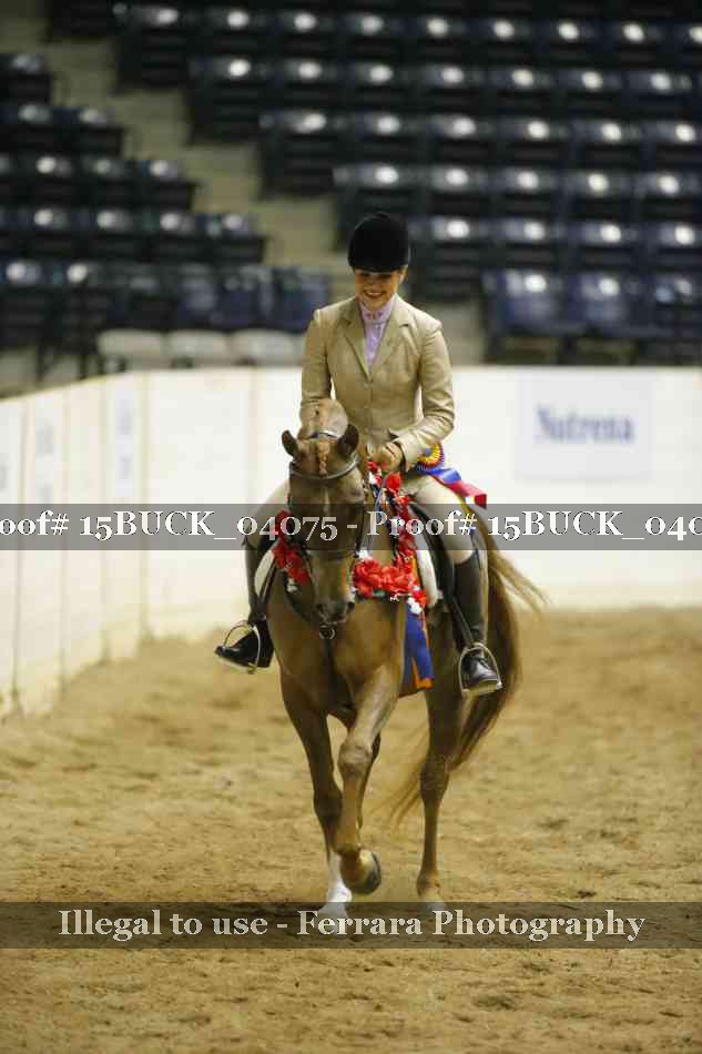 Proof Number 15BUCK_04075