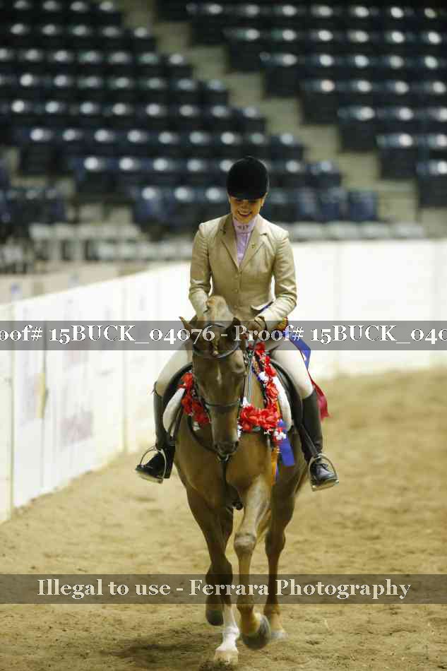 Proof Number 15BUCK_04076