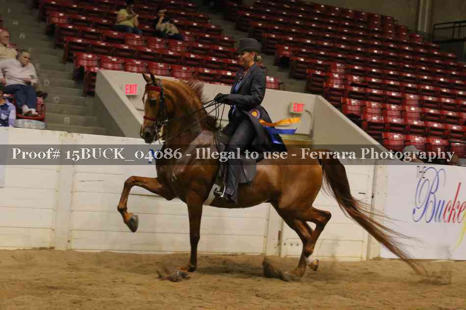 Proof Number 15BUCK_04086