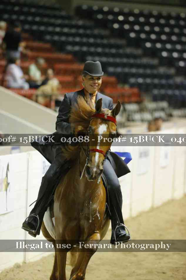 Proof Number 15BUCK_04088