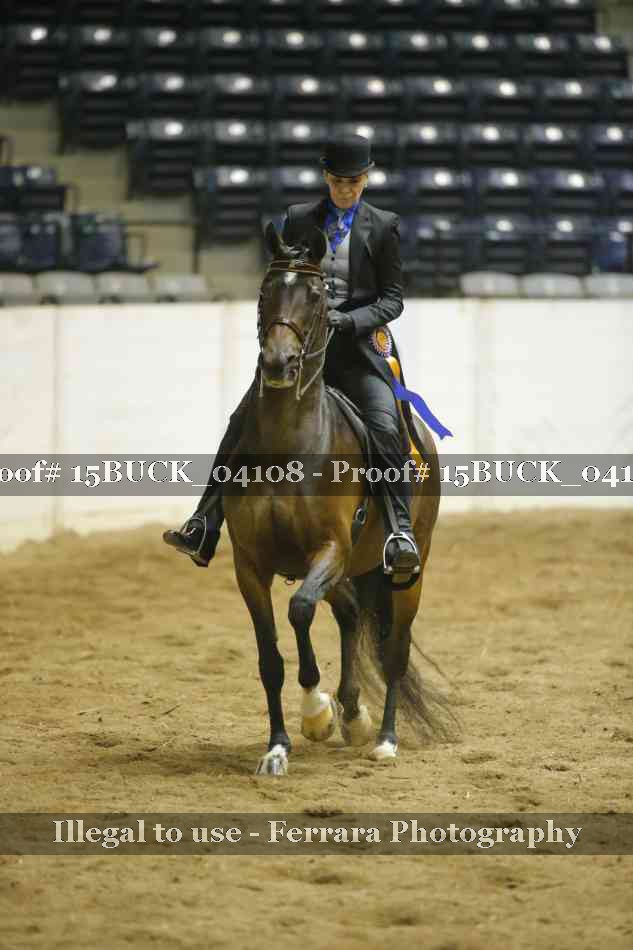 Proof Number 15BUCK_04108