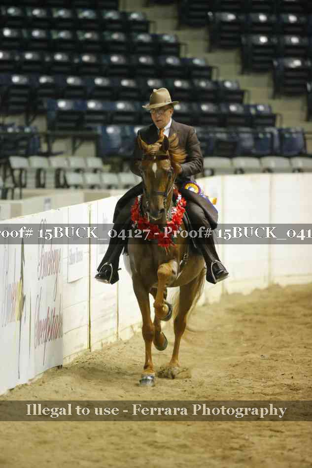 Proof Number 15BUCK_04127