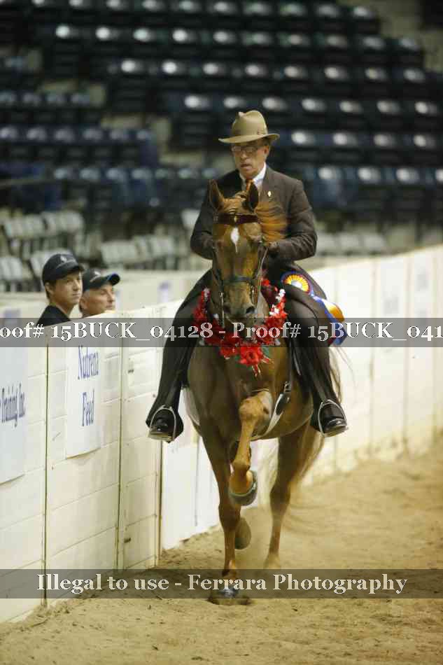Proof Number 15BUCK_04128