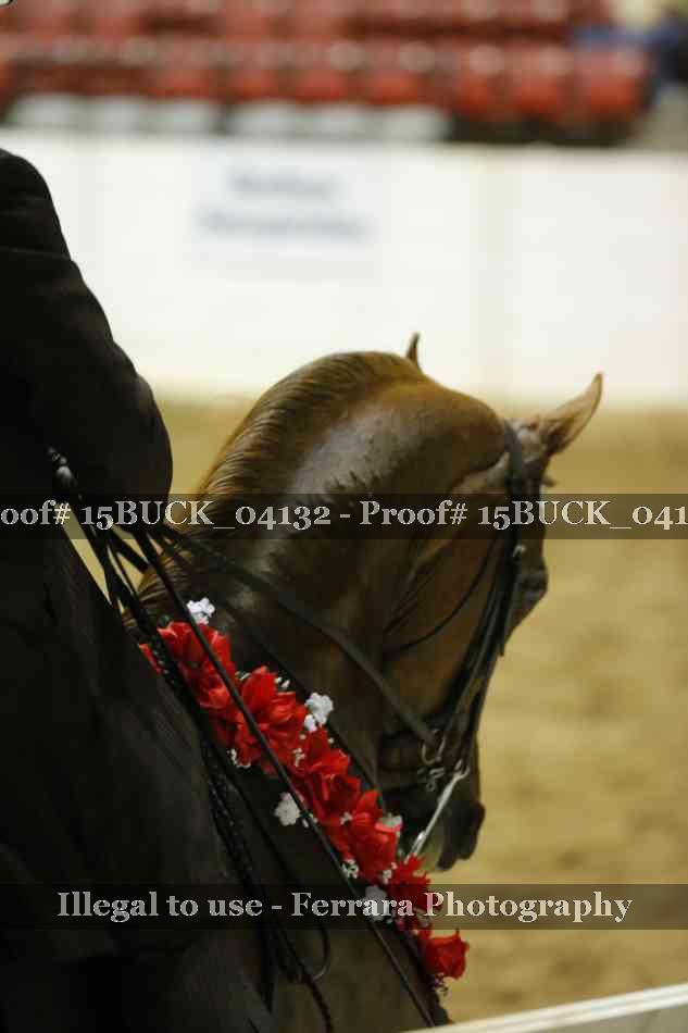 Proof Number 15BUCK_04132