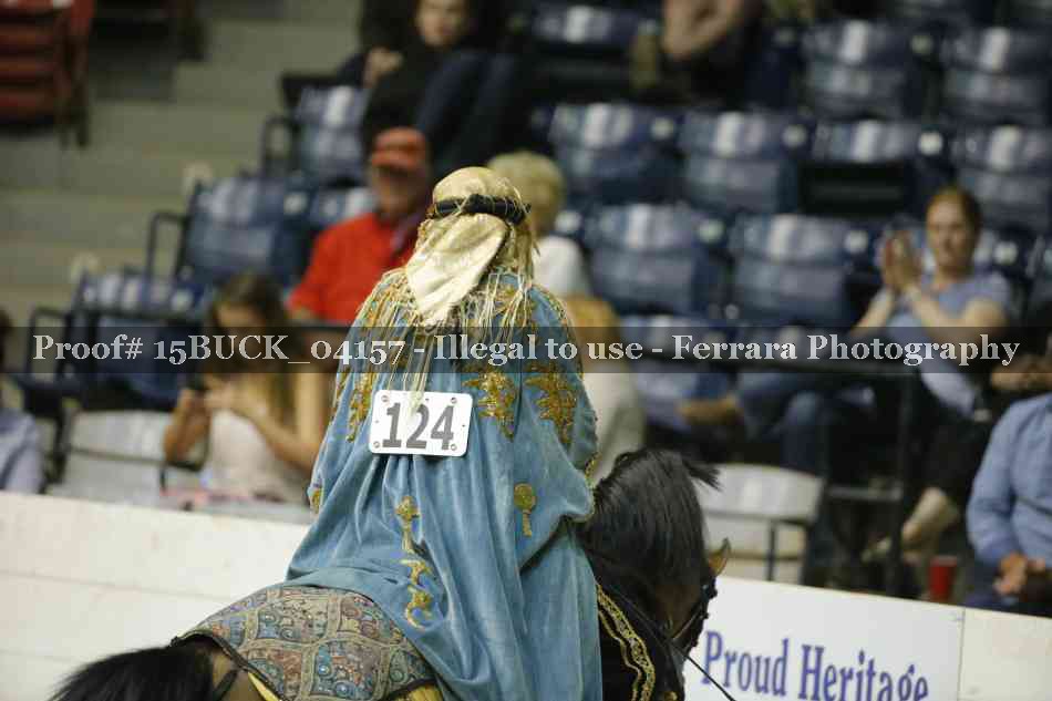 Proof Number 15BUCK_04157