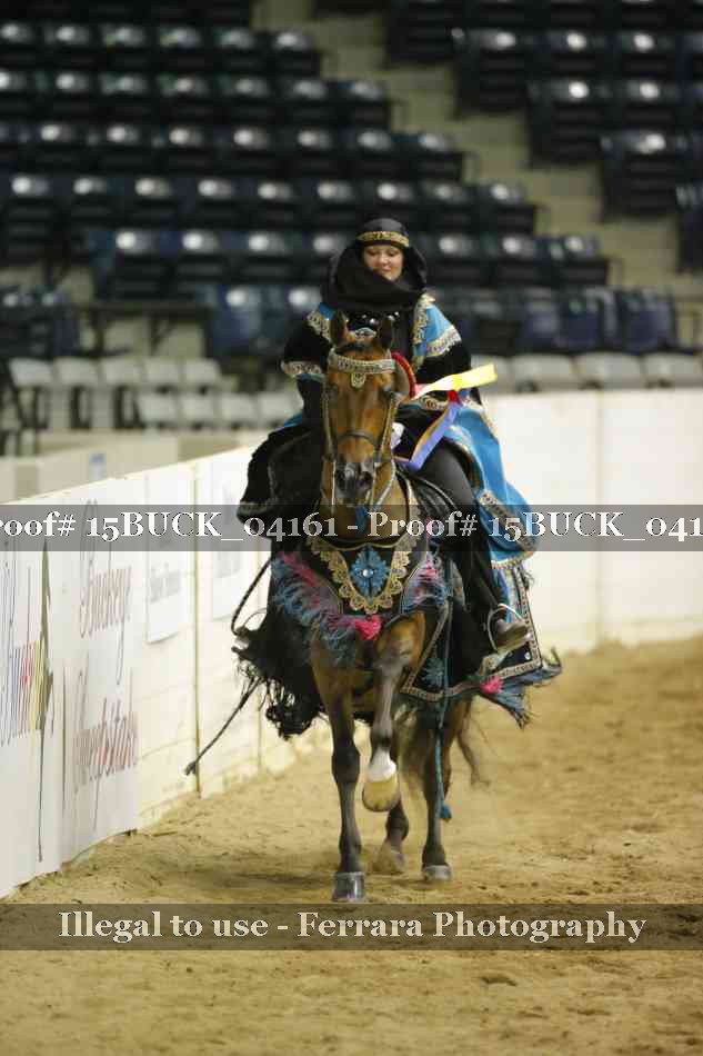 Proof Number 15BUCK_04161