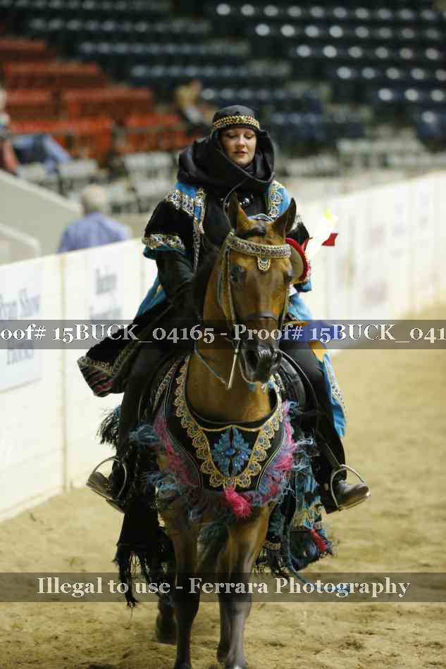 Proof Number 15BUCK_04165